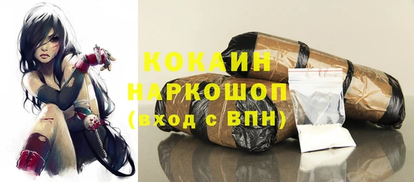 винт Бородино