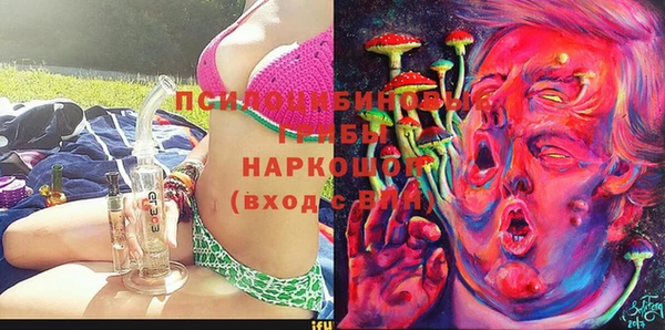 гидра Бугульма