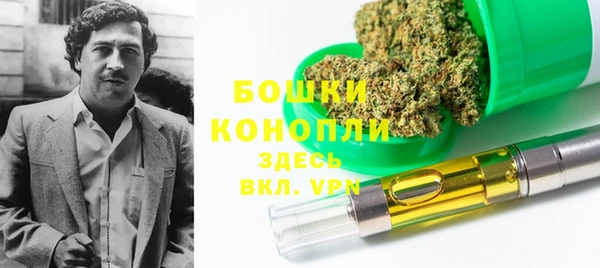 гидра Бугульма