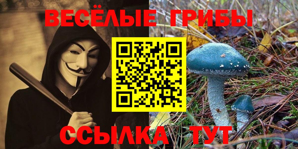Армавир  Псилоцибиновые грибы MAGIC MUSHROOMS  Псилоцибиновые грибы MAGIC MUSHROOMS  Вход с VPN 